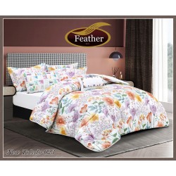 Comforter set, one and a half, 4 pieces, Feather New Toledo